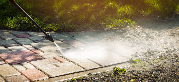 Best Animal Enclosure Cleaning  in Brilliant, AL